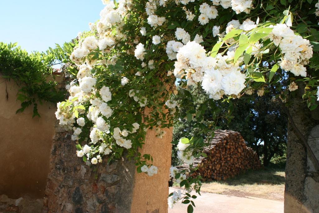 Domaine De La Blaque - B&B Varages Bagian luar foto